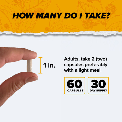 Onnit Alpha Brain® Memory & Focus Perspective: back