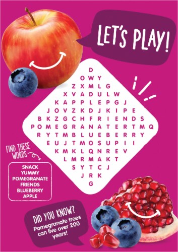 Happy Kid Organic Apple Blueberry & Pomegranate Blended Fruit Snack 4 Count Perspective: back