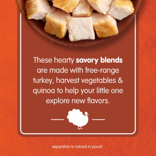 Happy Baby® Organics Savory Blends, Turkey, Vegetables & Quinoa Skillet Pouch Perspective: back