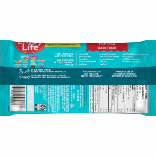 Enjoy Life™ Dark Chocolate Morsels Perspective: back