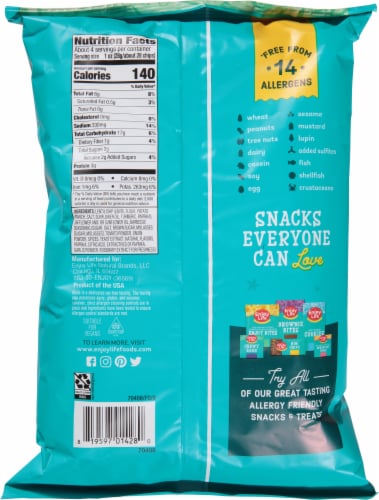 Enjoy Life Barbecue Lentil Chips Perspective: back