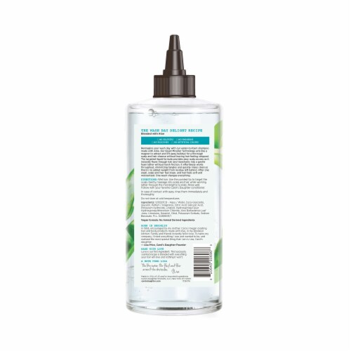 Carol's Daughter Wash Day Delight Water to Foam Shampoo Sulfate Free with Aloe Perspective: back