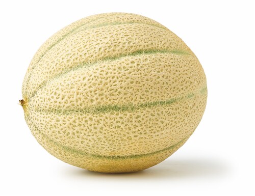 Tuscan Cantaloupe Perspective: back
