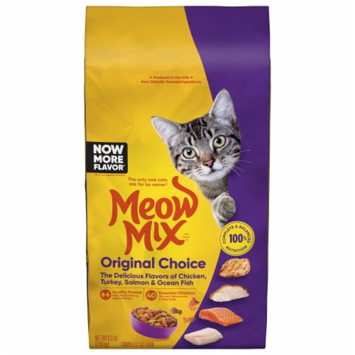 Meow Mix Original Choice Dry Cat Food Perspective: back
