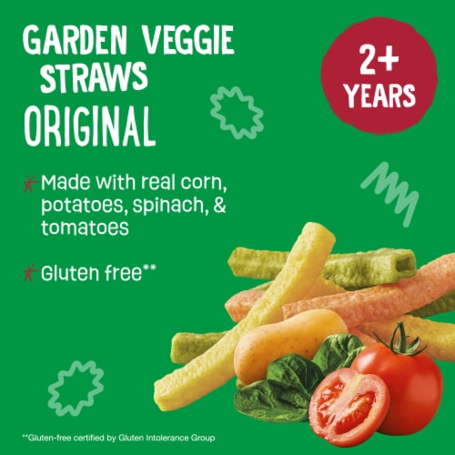 Earth's Best® Organic Sea Salt Veggie Straws Snacks Perspective: back