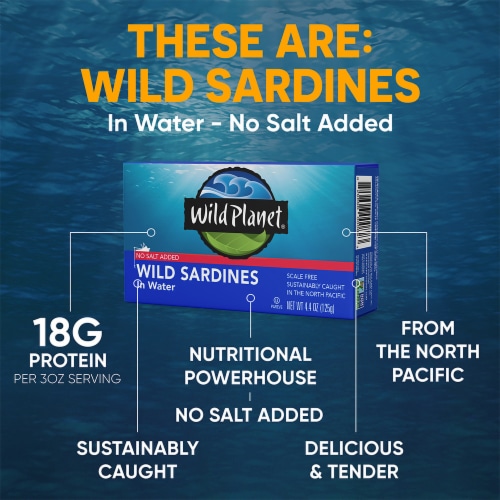 Wild Planet® Wild Sardines In Water Perspective: back