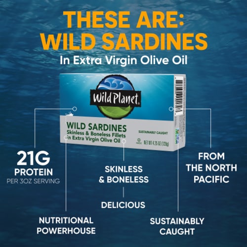 Wild Planet Wild Boneless Sardines in Extra Virgin Olive Oil Perspective: back