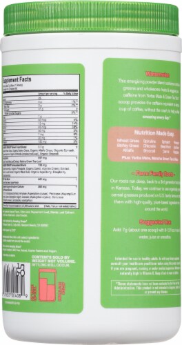 Amazing Grass Green SuperFood Antioxidant Drink Powder, Berry - 14.8 oz jar