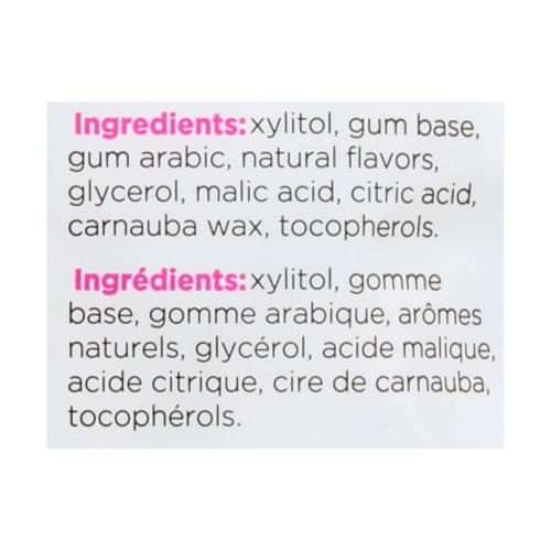 Pur Pomegranate Mint Gum - Case Of 12 - 2.72 Oz Perspective: back