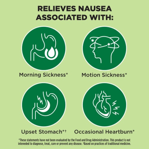 Dramamine Nausea Relief Lemon-Honey-Ginger Soft Chews Perspective: back