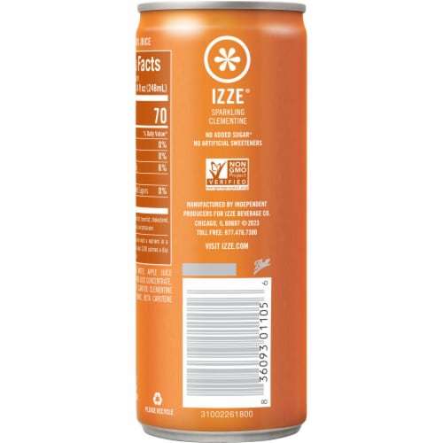 IZZE® Clementine Sparkling Juice Can Perspective: back