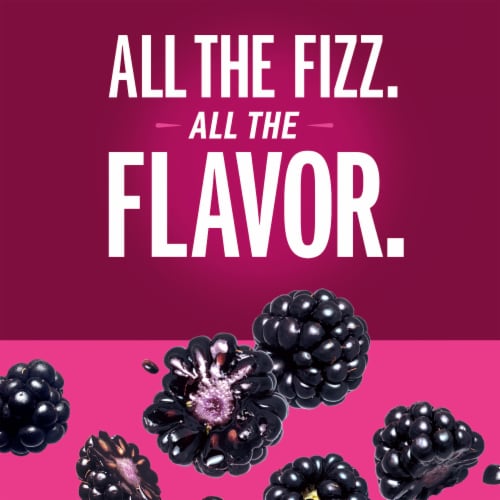 IZZE No Sugar Added Blackberry Sparkling Juice Beverage Blend Perspective: back