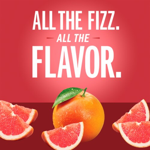 IZZE No Sugar Added Grapefruit Sparkling Juice Beverage Blend Perspective: back