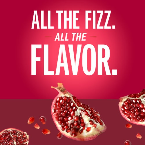 IZZE No Sugar Added Pomegranate Sparkling Juice Beverage Blend Perspective: back