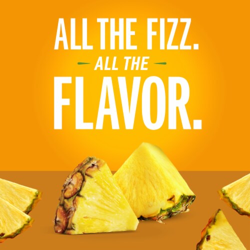 IZZE No Sugar Added Pineapple Sparkling Juice Beverage Blend Perspective: back