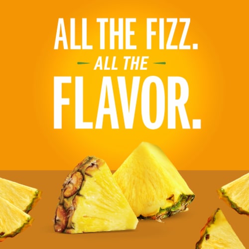 IZZE No Sugar Added Pineapple Sparkling Juice Beverage Blend Perspective: back