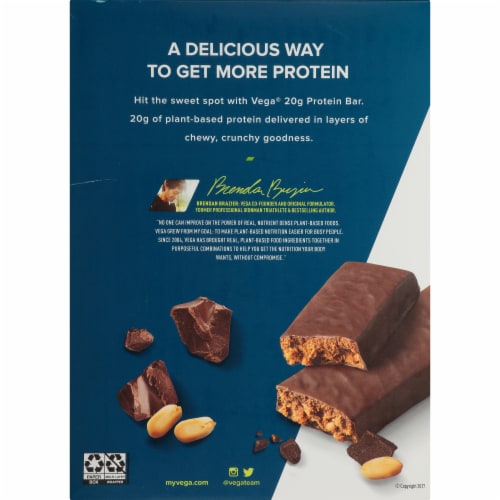 Vega Chocolate Peanut Butter Protein Bars 12 Count Perspective: back