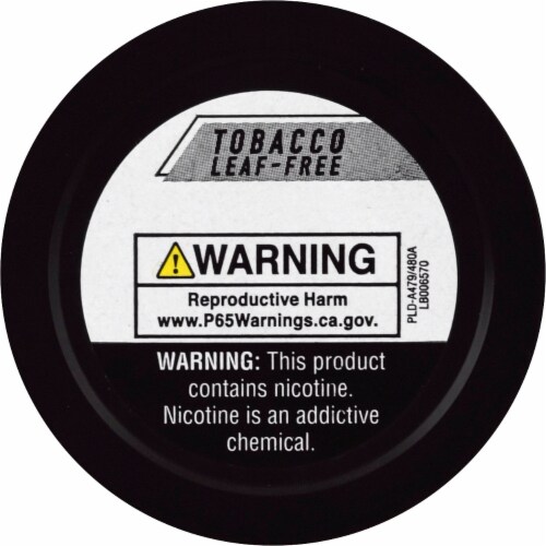 Rogue® Peppermint Nicotine Pouches 6mg Perspective: back