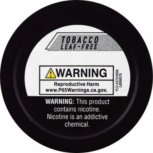 Rogue® Wintergreen Pouches 6mg Perspective: back