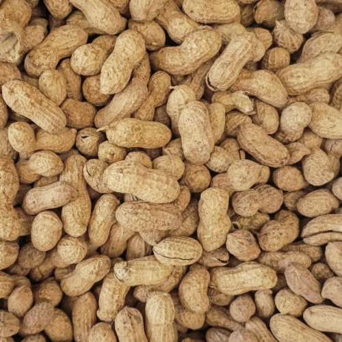 Raw Peanut With Shell For Birds, Squirrels, Wild Animal Food, 25 Pound Bag Perspective: back