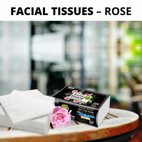 WBM Care Professional Facial Tissue with Rose Fragrance, 200 Sheets/Each, Pack of 10 Perspective: back