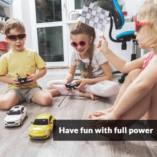AAA 1.5 Volt Carbon Zinc Cells, Long Lasting Power, Ideal for Household, 12 Pack (48 Count) Perspective: back