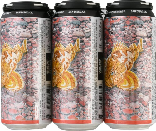 Ballast Point® Grapefruit Sculpin IPA Beer Perspective: back
