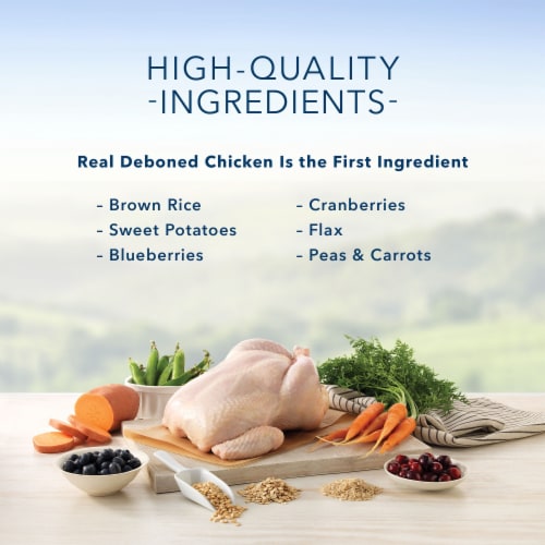 Blue Buffalo Healthy Living Natural Adult Dry Cat Food, Chicken & Brown Rice Perspective: back