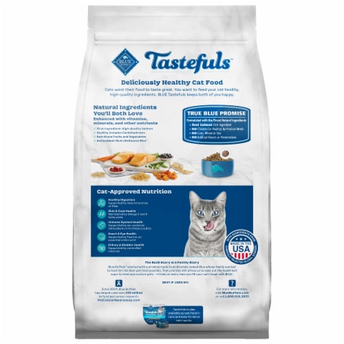 Blue Buffalo Tastefuls Natural Salmon and Brown Rice Indoor Adult Dry Cat Food Perspective: back
