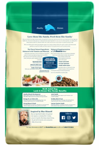 Blue Buffalo Life Protection Formula Lamb & Brown Rice Recipe Natural Adult Dry Dog Food Perspective: back
