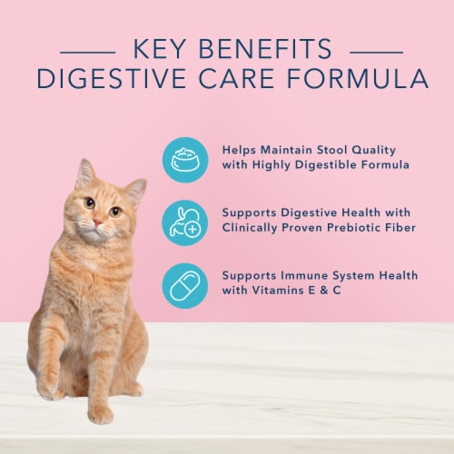 Blue Buffalo True Solutions™ Blissful Belly Digestive Care Adult Dry Cat Food Perspective: back