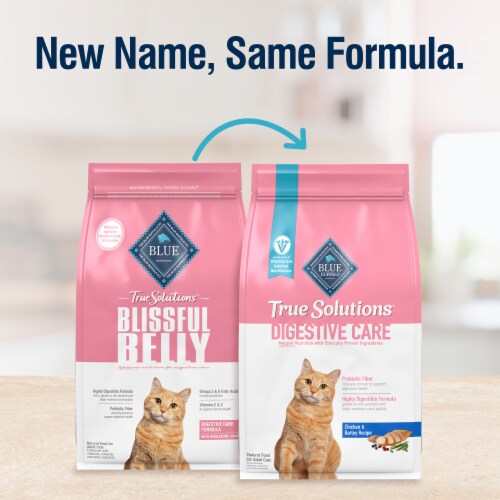 Blue Buffalo True Solutions Blissful Belly Digestive Care Natural Dry Food for Adult Cats Chicken Perspective: back