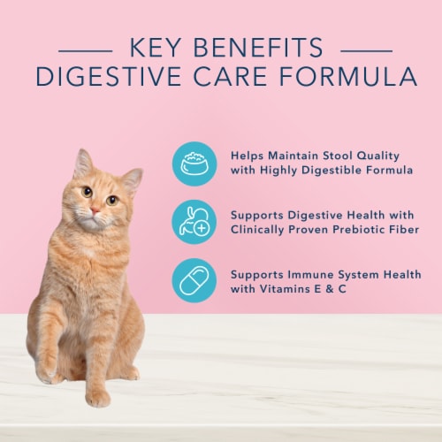 Blue Buffalo® True Solutions® Blissful Belly Cat Food Perspective: back