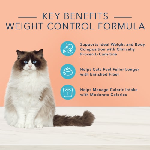 Blue Buffalo® True Solutions™ Fit and Healthy Adult Wet Cat Food Perspective: back