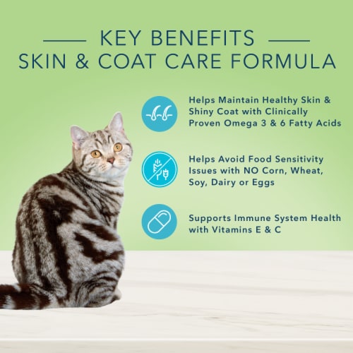 Blue Buffalo® True Solutions™ Perfect Coat Whitefish Adult Wet Cat Food Perspective: back
