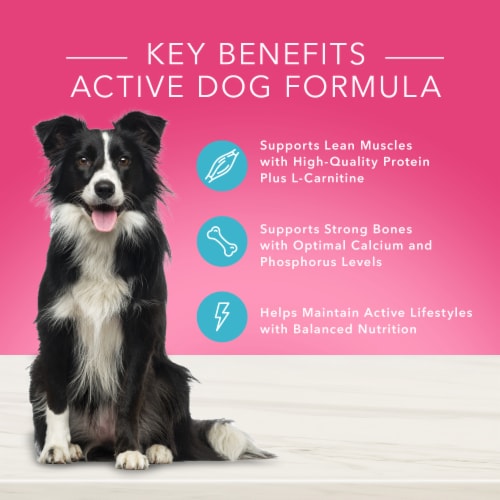 Blue Buffalo True Solutions Top Form Active Adult Dog Food Perspective: back