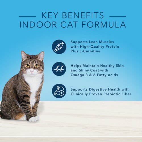 Blue BuffaloTrue Solutions Fab Feline Chicken Natural Indoor Adult Wet Cat Food Perspective: back