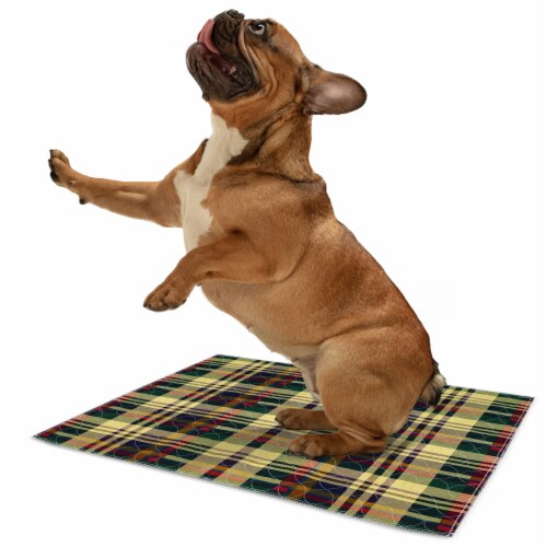 MaxProtect Tartan Plaid Reusable Pee Pads for Dogs, Training Underpads - 1 Pack, 18 x 24 Perspective: back