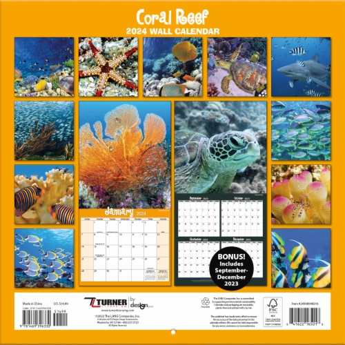 Lang Coral Reef 2024 Wall Calendar Perspective: back