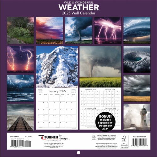 2025 Wild & Wonderful Weather Mini Calendar Perspective: back