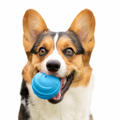 Fetch N' Fun TPR Ball with Squeaky Ball Dog Toy (3-Pack) - Galactic Pack Perspective: back