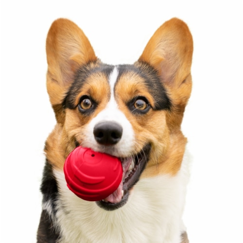 Fetch N' Fun TPR Ball with Squeaky Ball Dog Toy (3-Pack) - Play Pack Perspective: back