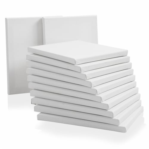 10 Assorted Medium Stretched Artist Paint Canvases (10 Pack), 10 Medium  Canvas Set - QFC