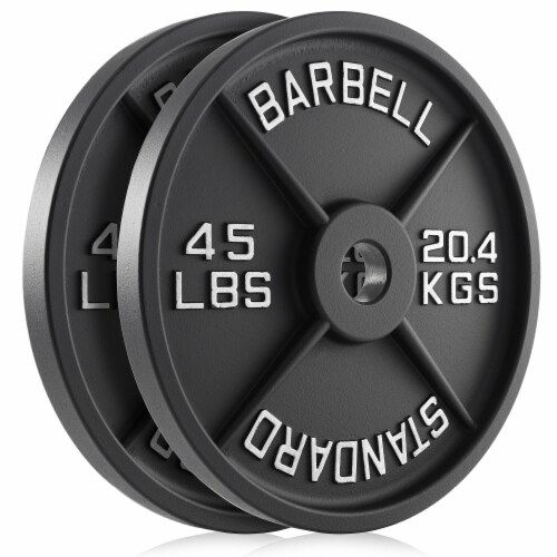 Set Of 2 Standard Cast Iron Olympic 2 inch Weight Plates 45 LB Each 
