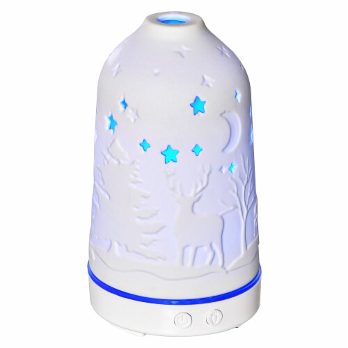 Essential Oil Diffuser Ultrasonic Humidifier w/ LED Lights, 2 Mist Modes, Timer Perspective: back