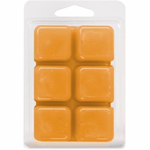 Oak & Rye™ Pumpkin Spice Scented Wax Cubes Perspective: back