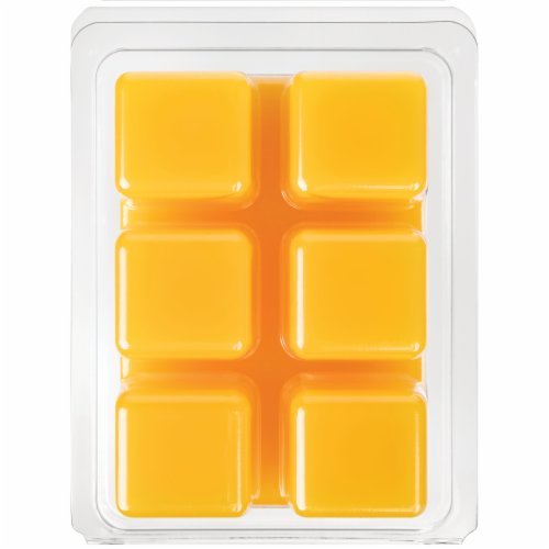 Fusion™ Scented Wax Cubes Snickerdoodle Cupcakes Perspective: back
