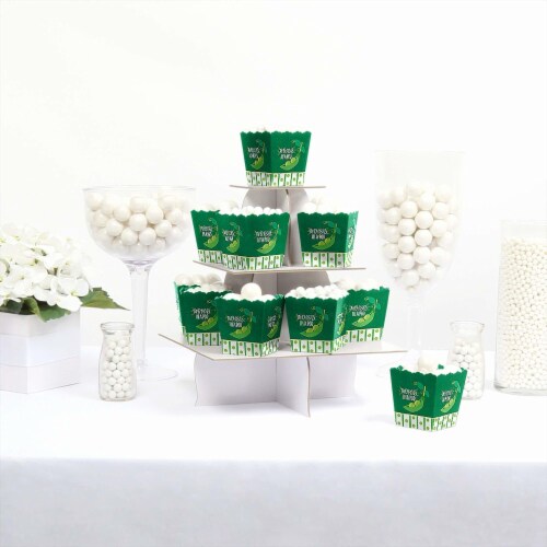 Big Dot of Happiness Double the Fun Twins Two Peas in a Pod Favor Treat Candy Boxes 12 Ct Perspective: back