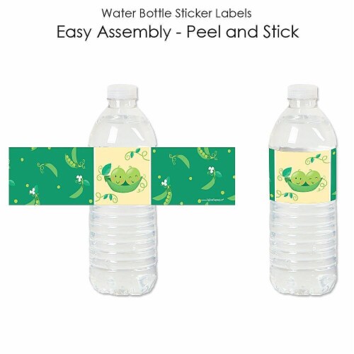 Big Dot of Happiness Double the Fun - Twins Two Peas in a Pod - Water Bottle Labels 20 Ct Perspective: back