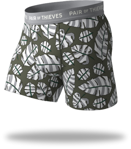 Pair of Thieves Superfit Boxer Briefs Perspective: back